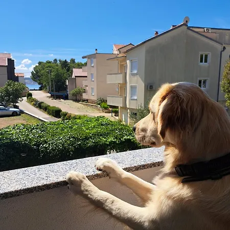 Kim Apartament
